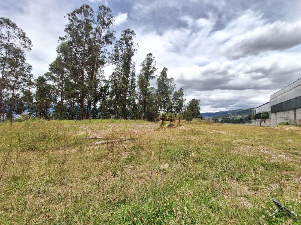 Venta Terreno Industrial 2495 m², Valle de Los Chillos, Puente Tres — imagen 3