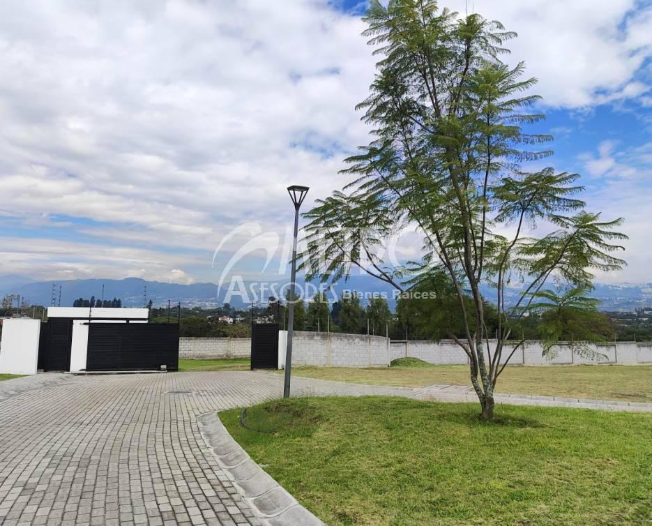 Terreno en Venta 2.040 m² en Hilacril - Tumbaco — imagen 3