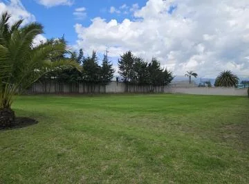 Terreno de Venta en Puembo Dentro de Urbanización — imagen 2