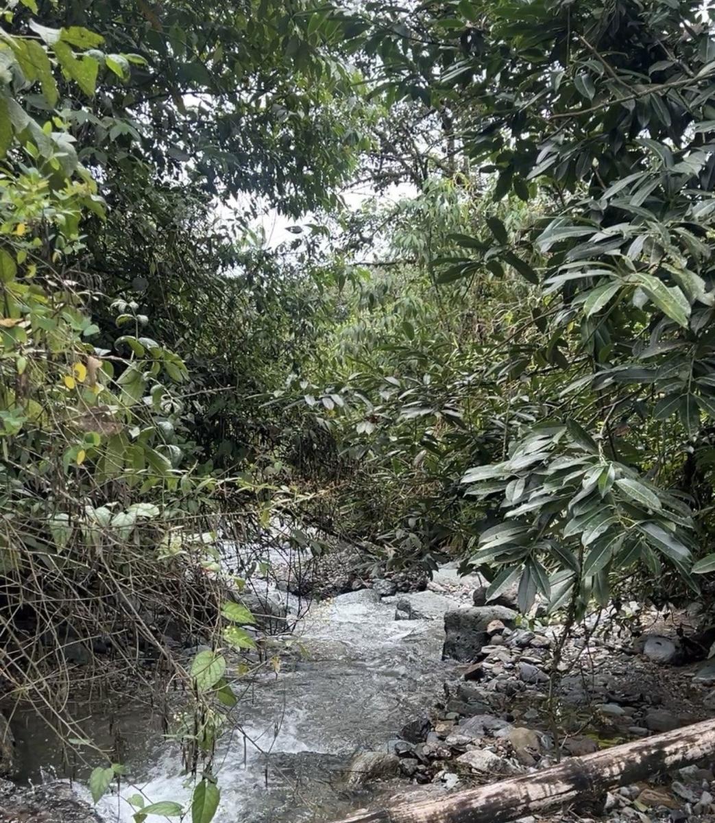 Terreno en Venta – Potencial Productivo y Turístico en Napo, Napo — imagen 10