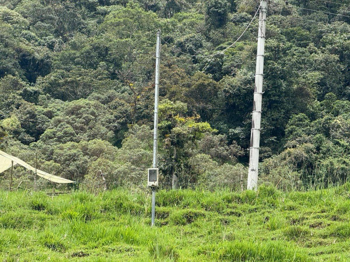 Terreno en Venta – Potencial Productivo y Turístico en Napo, Napo — imagen 9