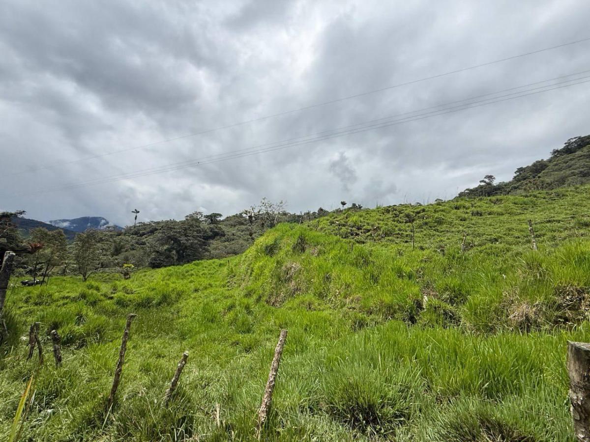 Terreno en Venta – Potencial Productivo y Turístico en Napo, Napo — imagen 8