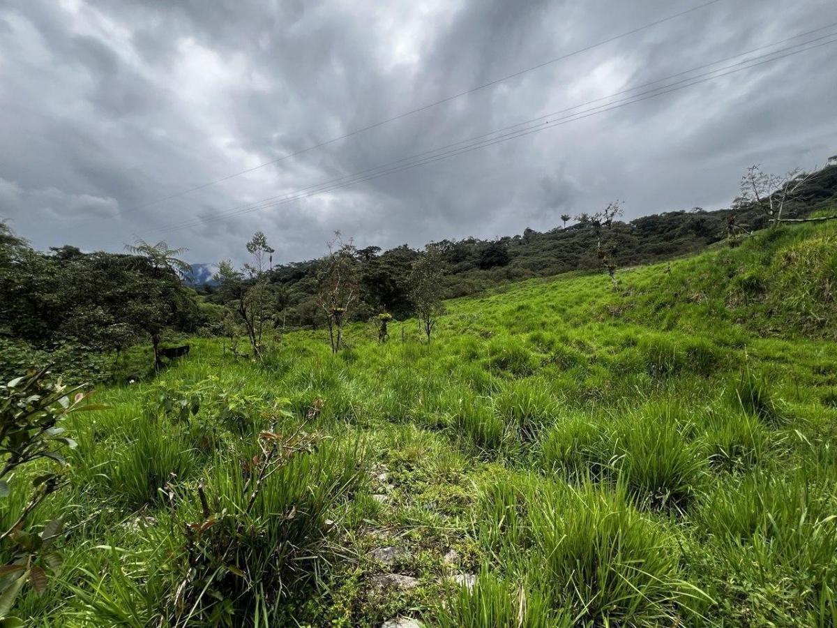Terreno en Venta – Potencial Productivo y Turístico en Napo, Napo — imagen 7
