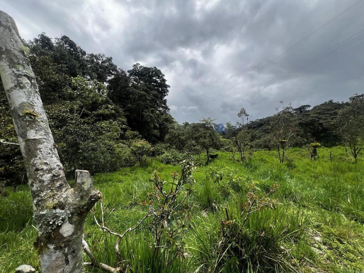 Terreno en Venta – Potencial Productivo y Turístico en Napo, Napo — imagen 6