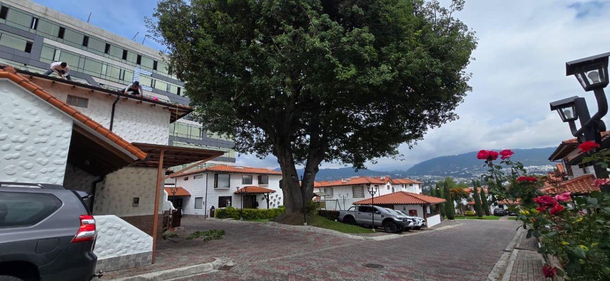 Casa de Venta en Tumbaco Calle El Sauce en con Junto Privado, Junto Al Ventura Mall — imagen 7