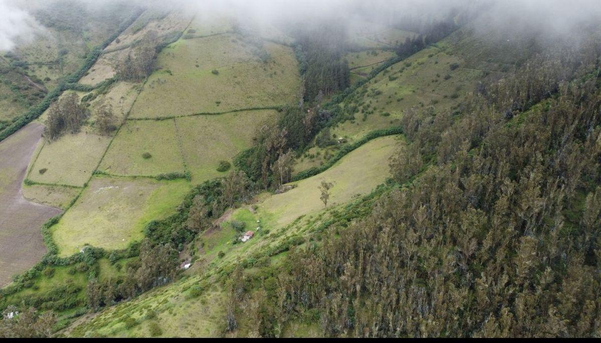 En Venta 14 Has Terreno Rural Produccion (Suelo Rural), Calacali $105.000 — imagen 7