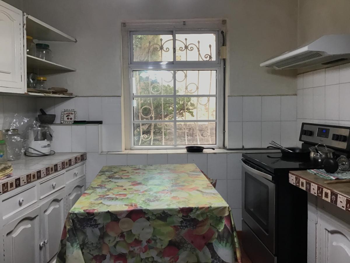 Centro Histórico, Se Vende Casa con Jardin — imagen 2