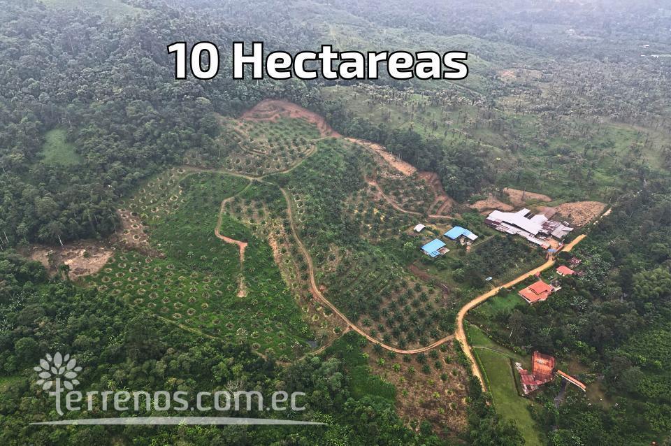 Terreno en Venta de 10 Has en Puerto Quito — imagen 10