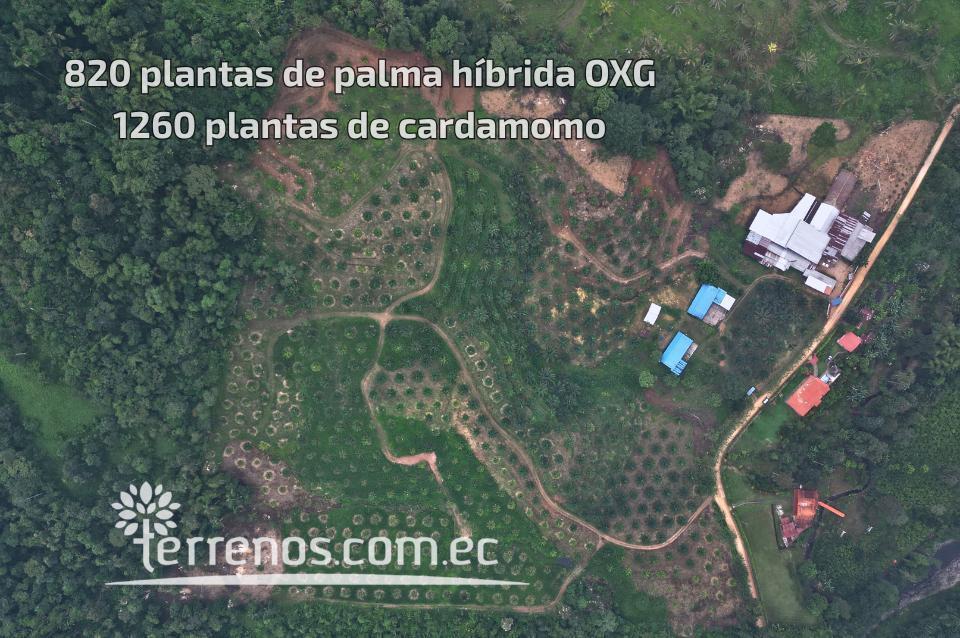 Terreno en Venta de 10 Has en Puerto Quito — imagen 9