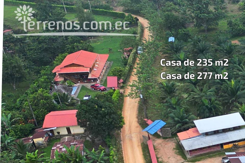 Terreno en Venta de 10 Has en Puerto Quito — imagen 8