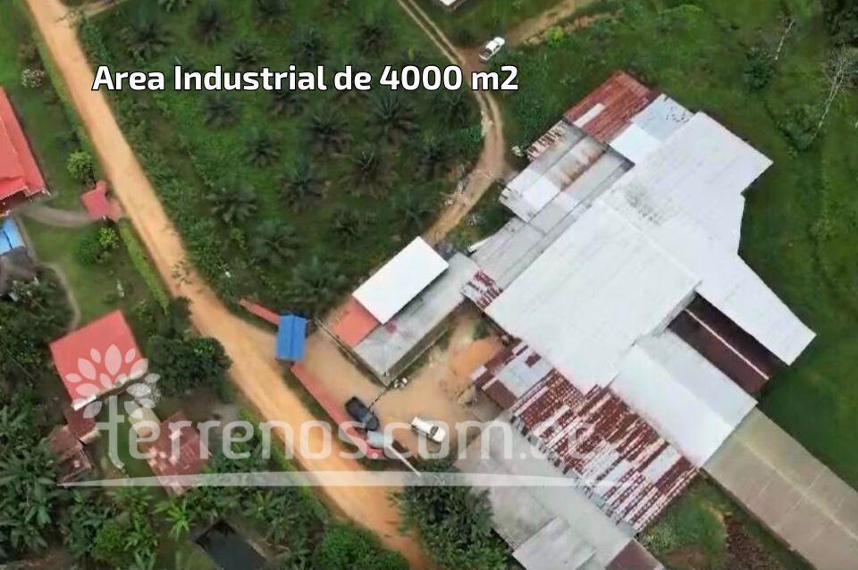 Terreno en Venta de 10 Has en Puerto Quito — imagen 7