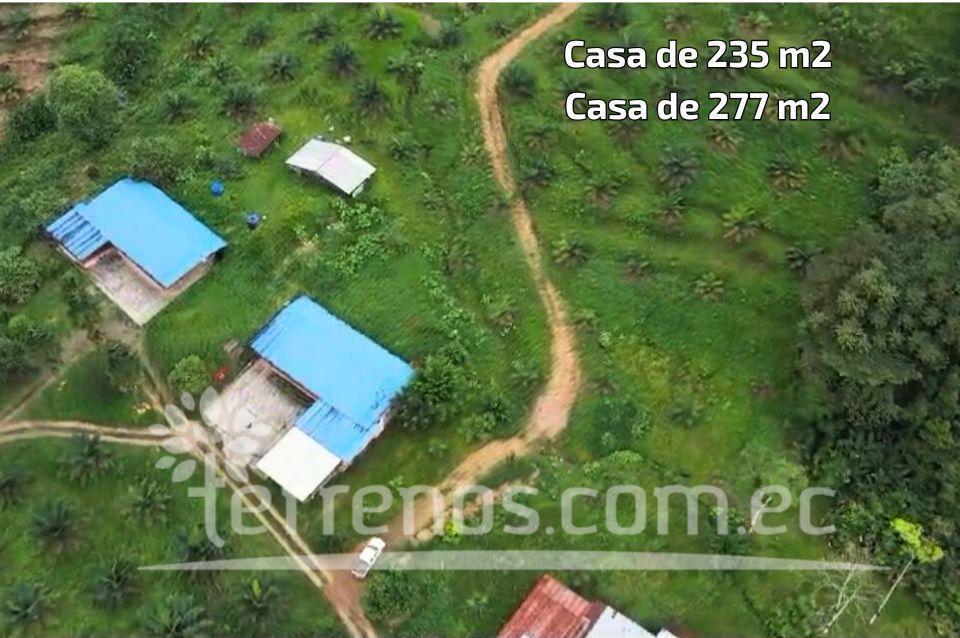 Terreno en Venta de 10 Has en Puerto Quito — imagen 6