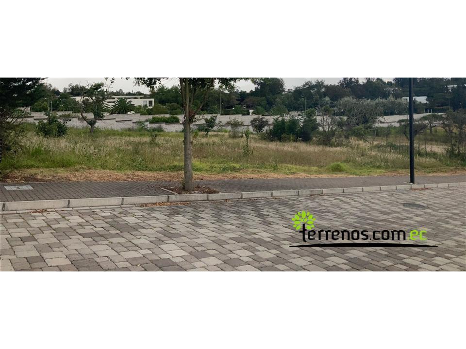 Terreno de Venta en Puembo 2.000 m². Urb. Valle Montana II — imagen 8