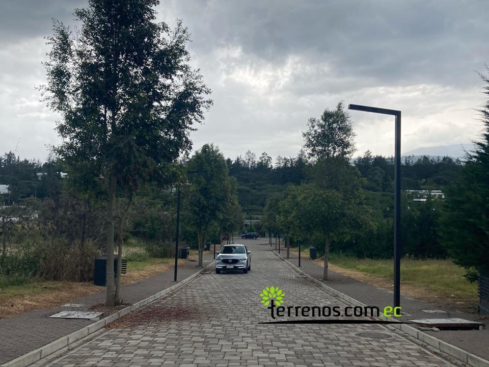 Terreno de Venta en Puembo 2.000 m². Urb. Valle Montana II — imagen 7