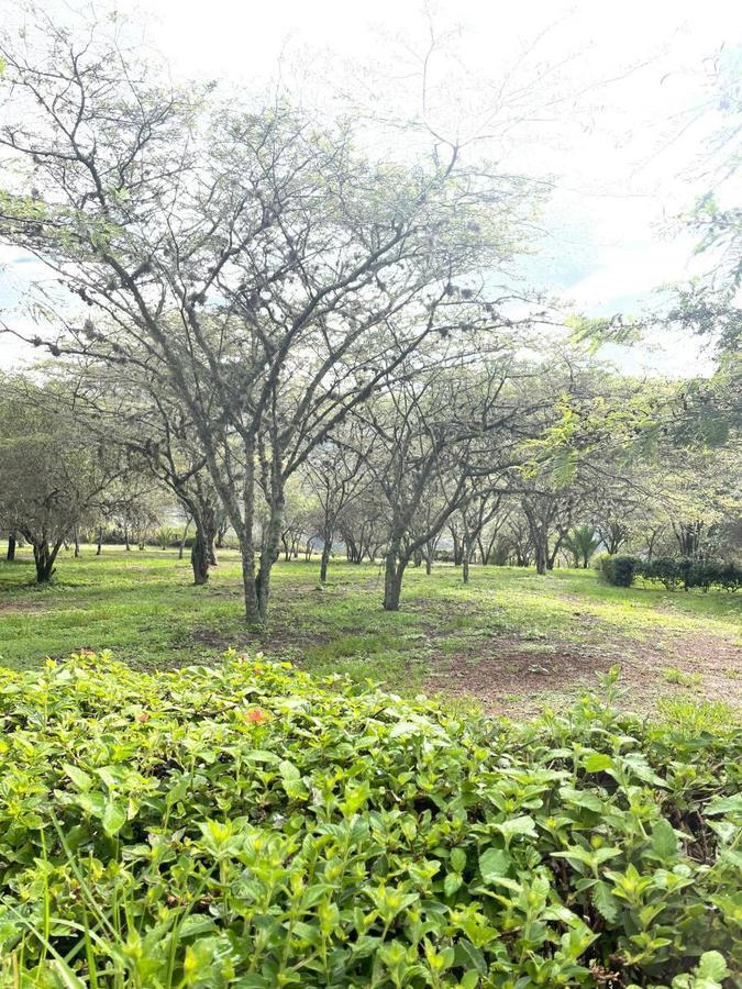 Vendo Hermoso Terreno en Algarrobos de Pillagua — imagen 6