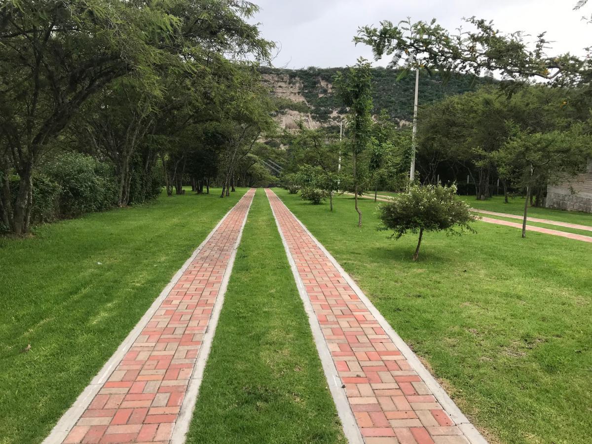 Vendo Hermoso Terreno en Algarrobos de Pillagua — imagen 2
