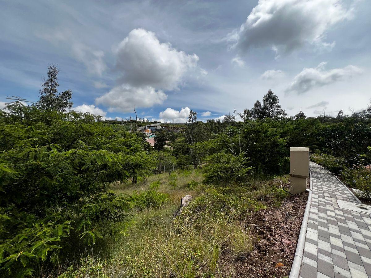 Venta, Terreno de 1000 m² en Tumbaco Excelente Urbanización — imagen 9