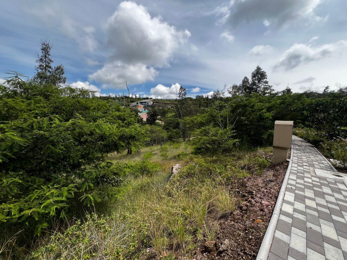 Venta, Terreno de 1000 m² en Tumbaco Excelente Urbanización — imagen 8