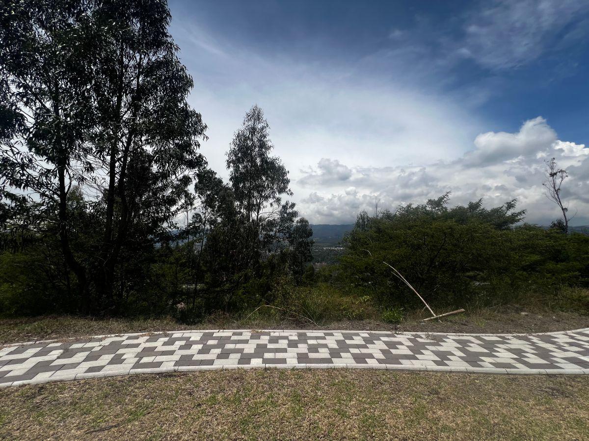 Venta, Terreno de 1000 m² en Tumbaco Excelente Urbanización — imagen 6