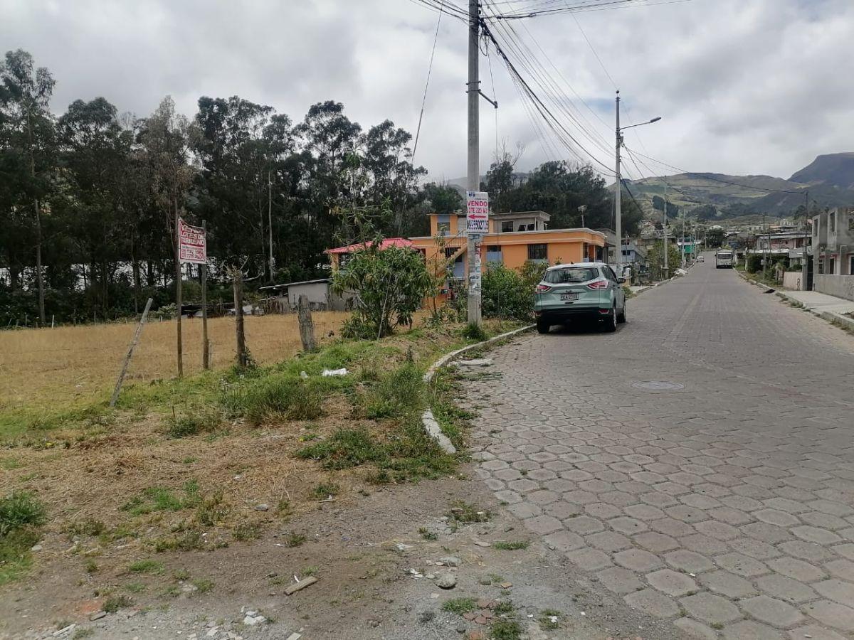 Lote Economico — imagen 5
