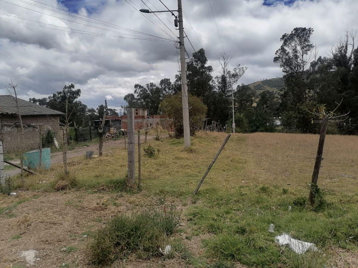 Lote Economico — imagen 4