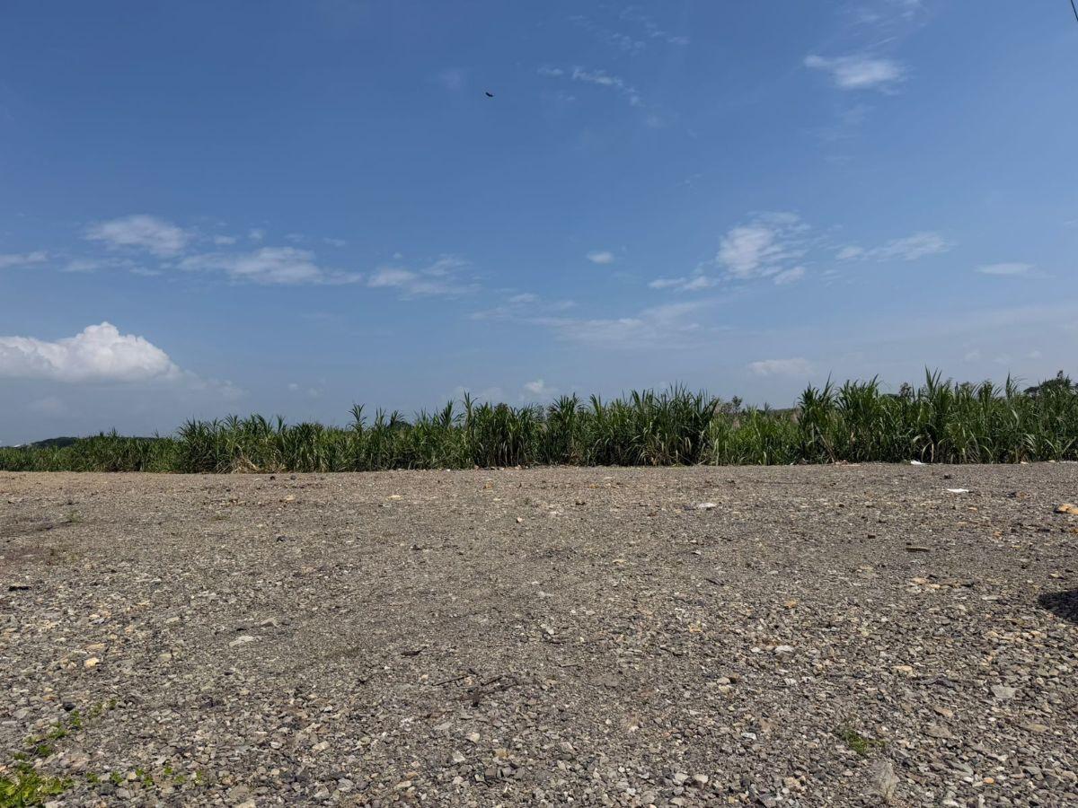 Terreno en Venta 83,89 Hectáreas, Km 17 Vía Durán Boliche, Guayas — imagen 5