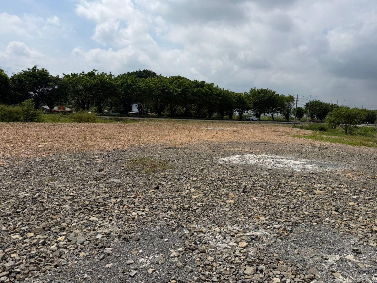 Terreno en Venta 83,89 Hectáreas, Km 17 Vía Durán Boliche, Guayas — imagen 2