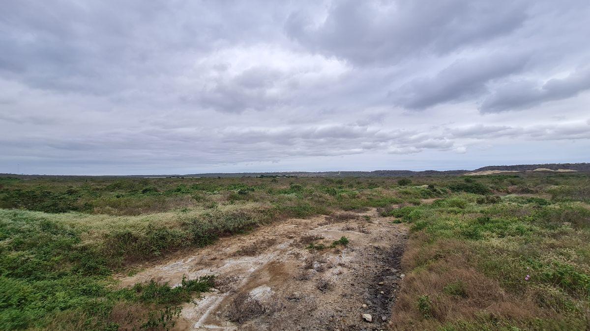 Terreno en Venta de 9.5 Hectáreas Al Pie de Carretera - Km. 5 Entrada a Santa Elena — imagen 9