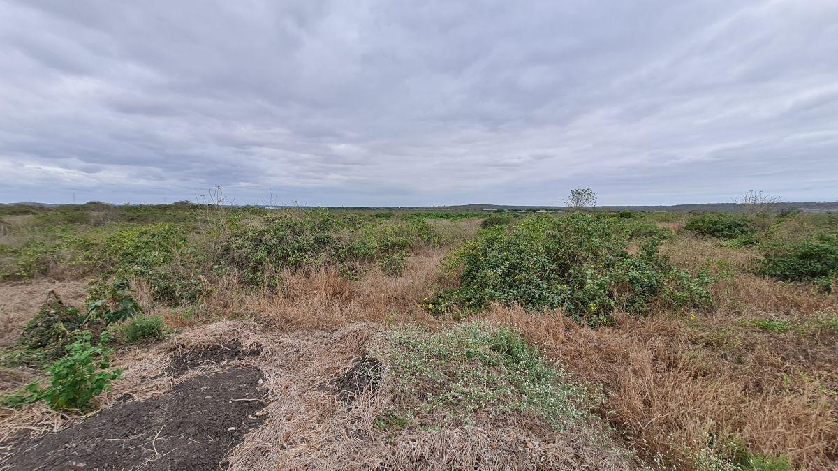 Terreno en Venta de 9.5 Hectáreas Al Pie de Carretera - Km. 5 Entrada a Santa Elena — imagen 6