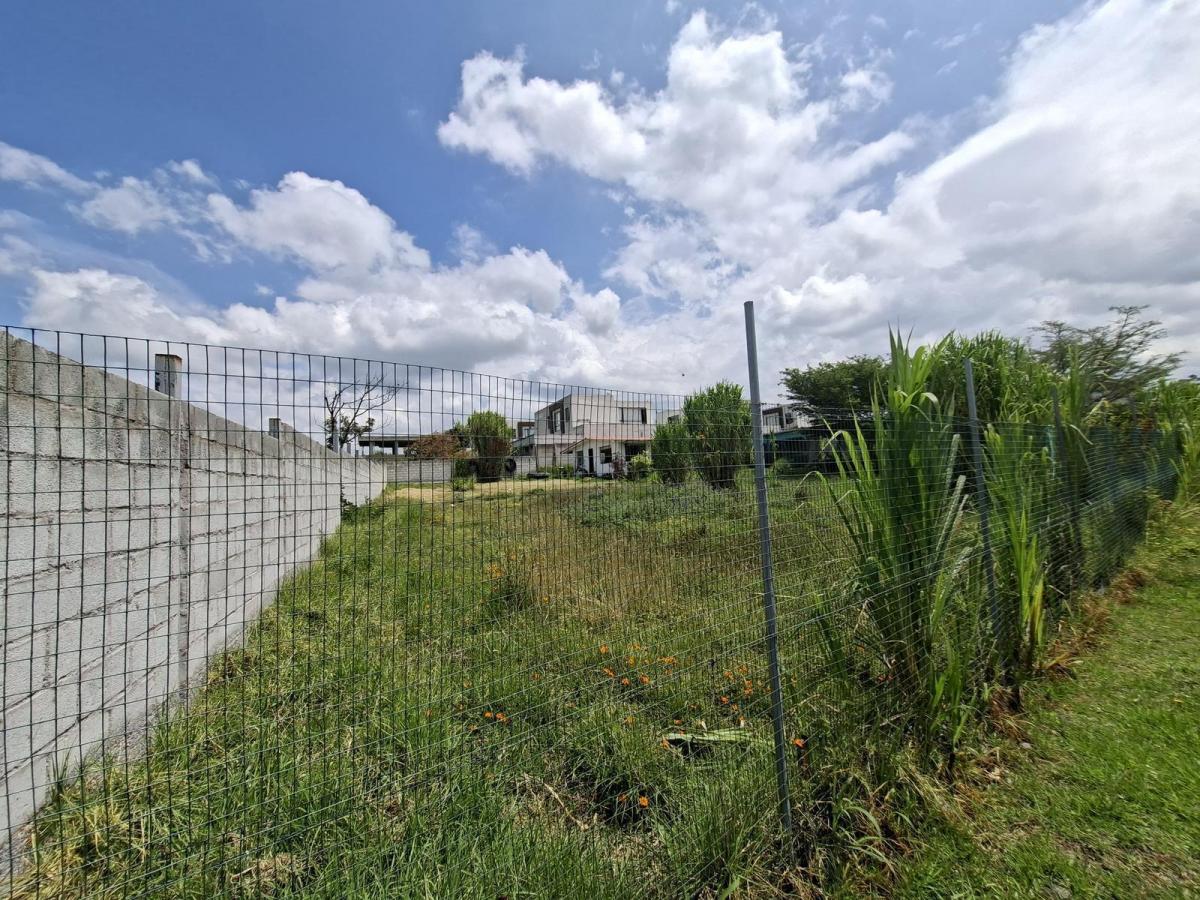 Vendo Excelente Terreno en Conjunto de 6 Lotes en Propiedad Horizontal — imagen 10