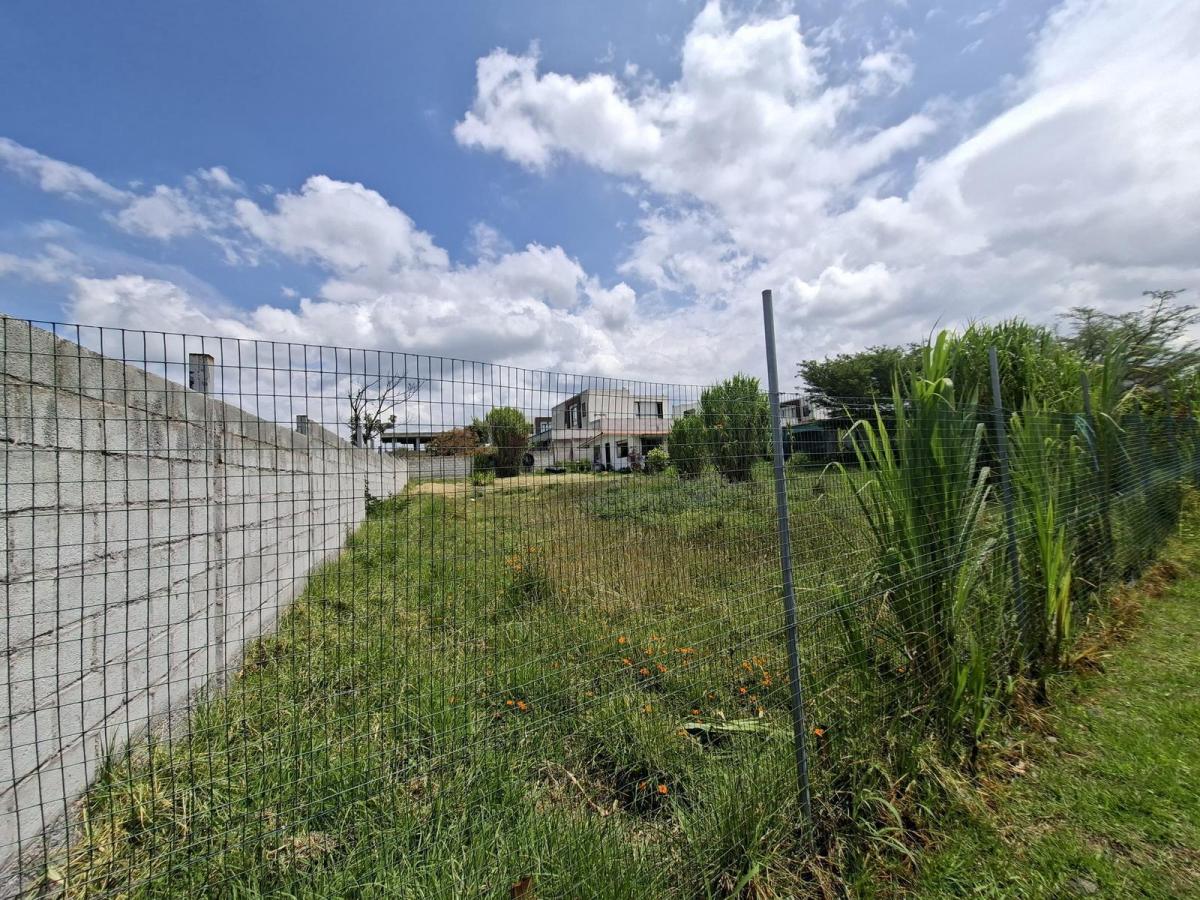 Vendo Excelente Terreno en Conjunto de 6 Lotes en Propiedad Horizontal — imagen 9