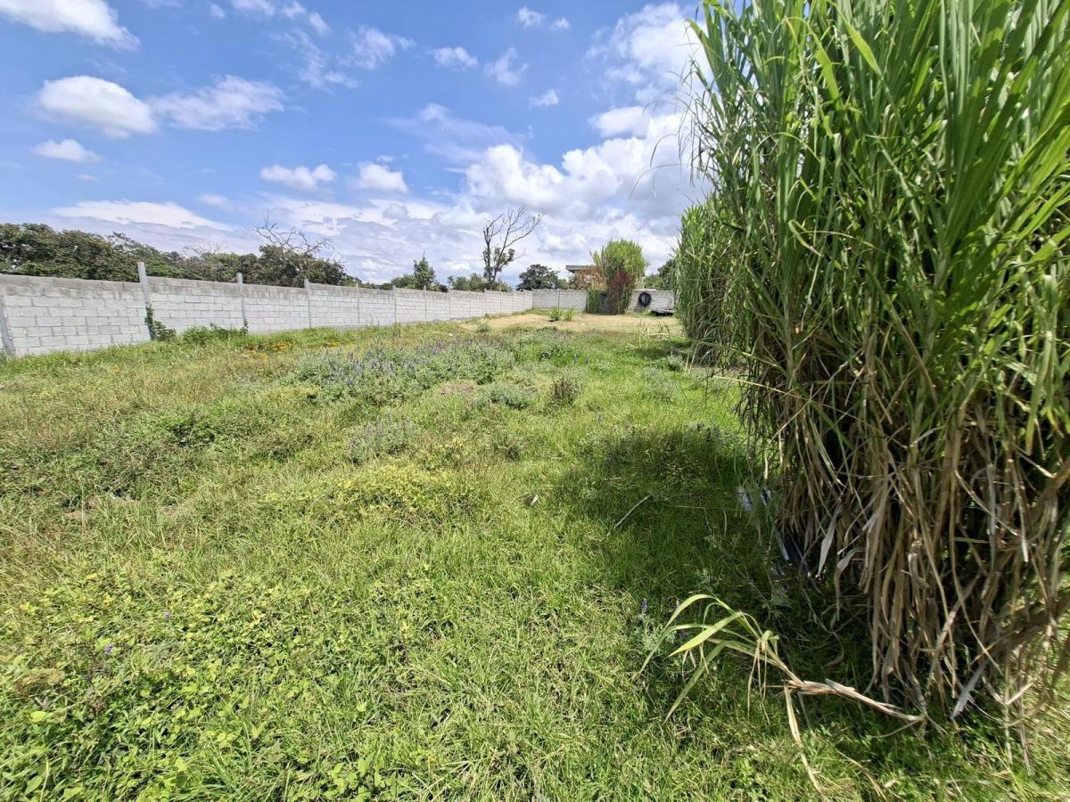 Vendo Excelente Terreno en Conjunto de 6 Lotes en Propiedad Horizontal — imagen 8