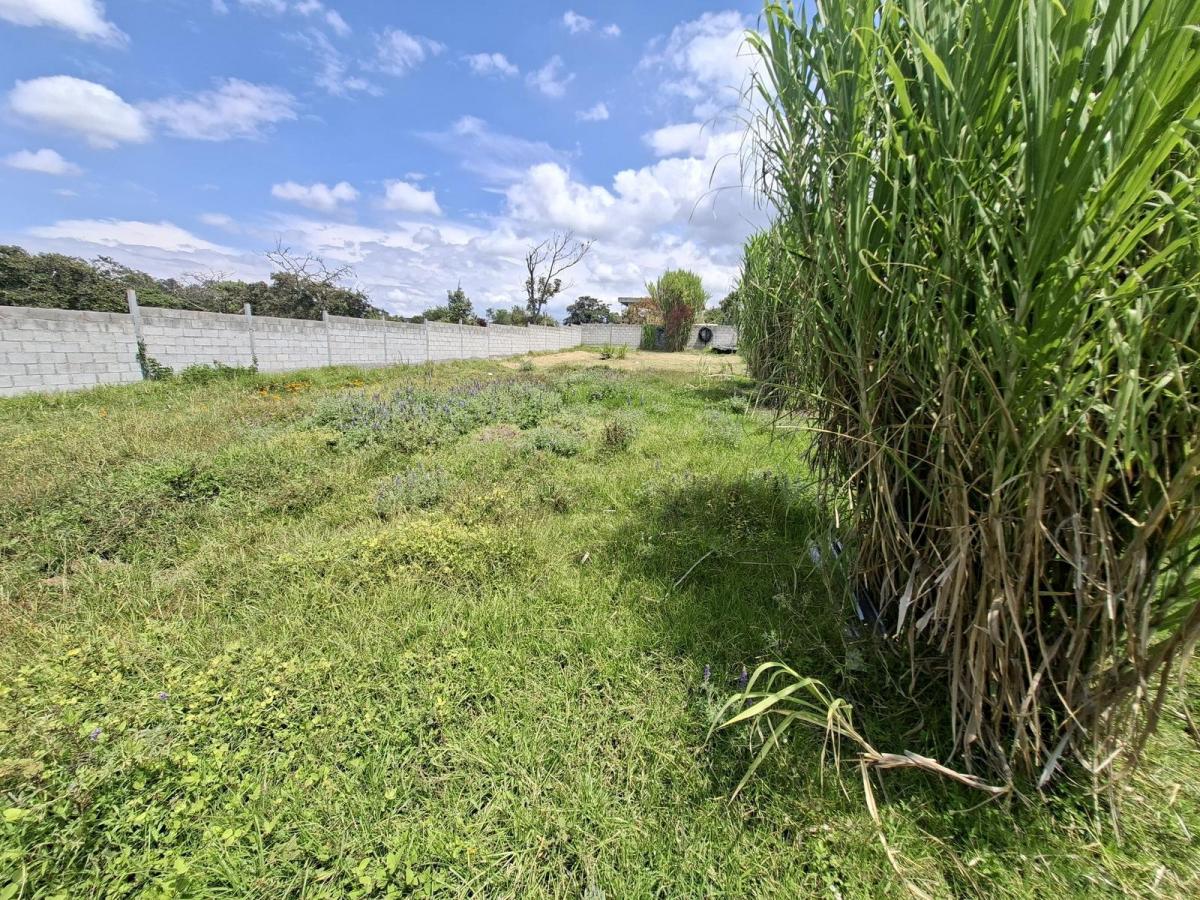 Vendo Excelente Terreno en Conjunto de 6 Lotes en Propiedad Horizontal — imagen 7