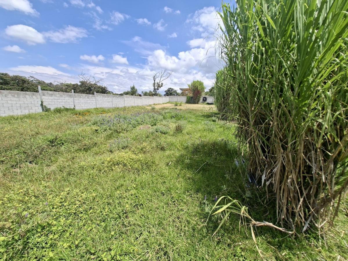 Vendo Excelente Terreno en Conjunto de 6 Lotes en Propiedad Horizontal — imagen 6