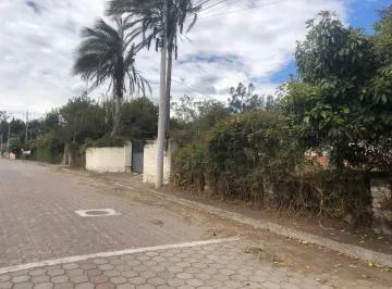 Lote Terreno Ruta Viva Vía Pifo — imagen 3