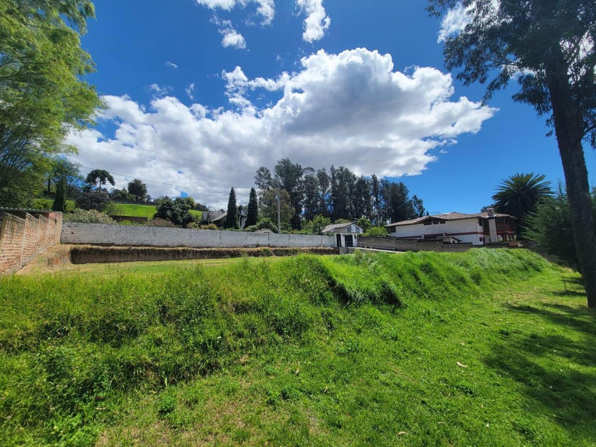 Terreno en Venta Miranda Alto — imagen 8