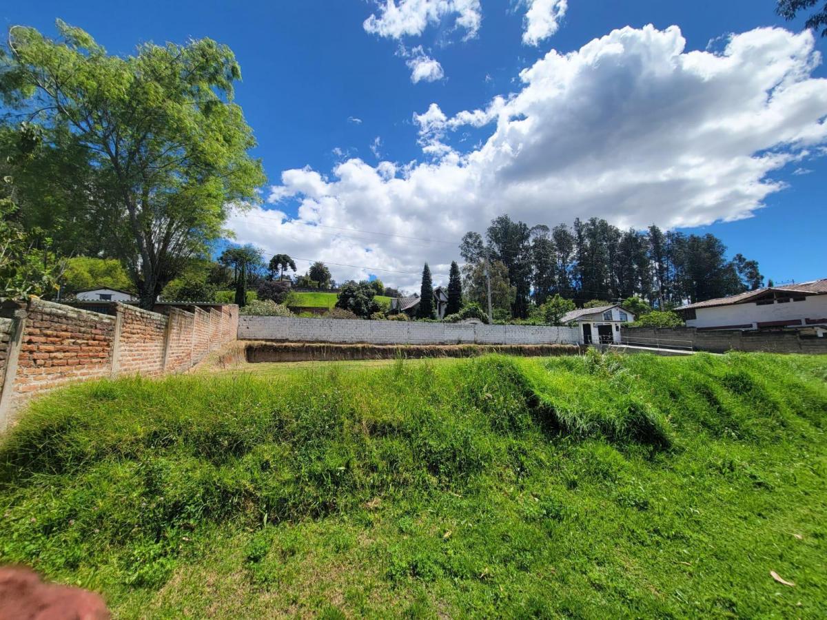 Terreno en Venta Miranda Alto — imagen 7