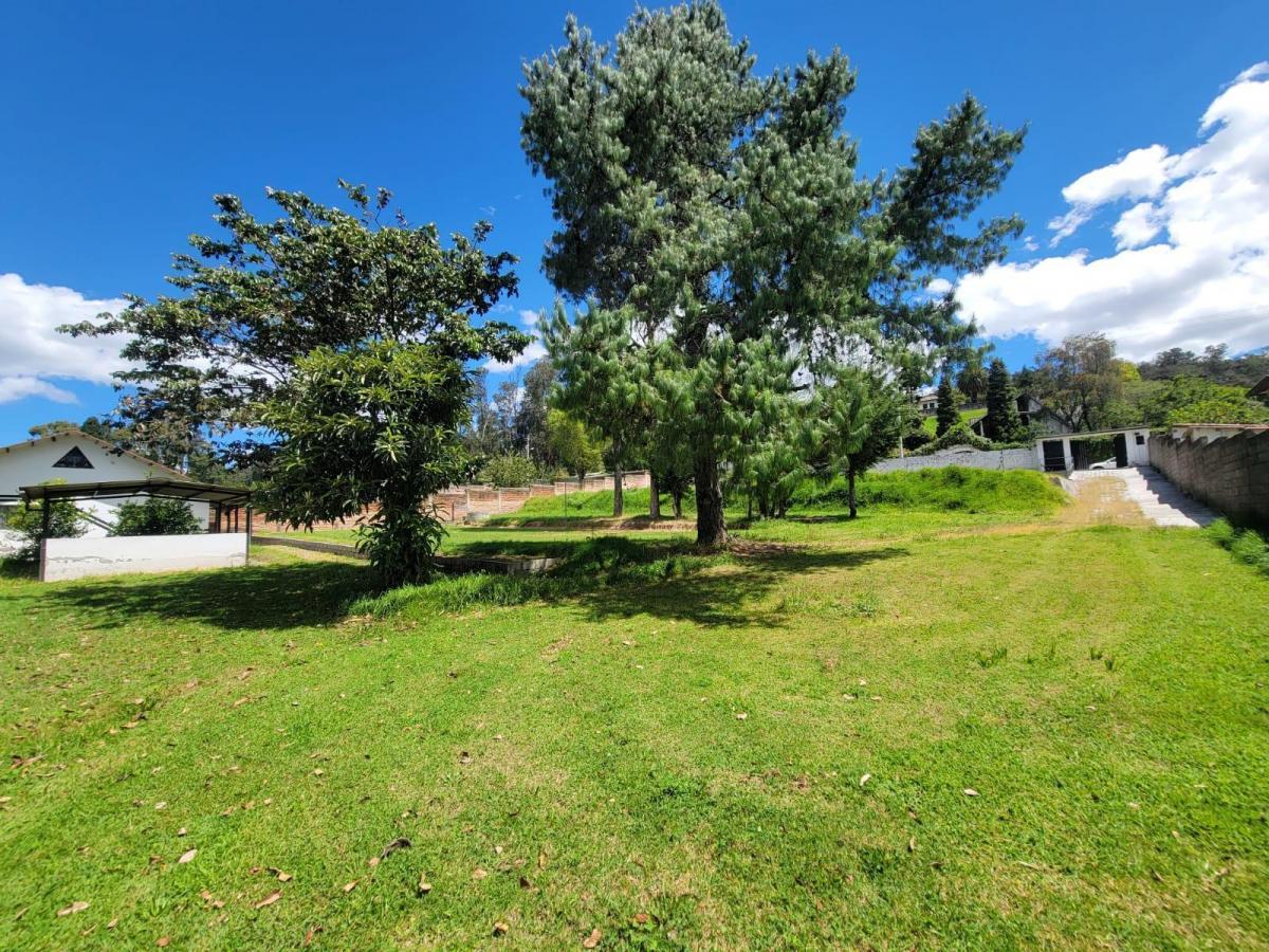 Terreno en Venta Miranda Alto — imagen 6