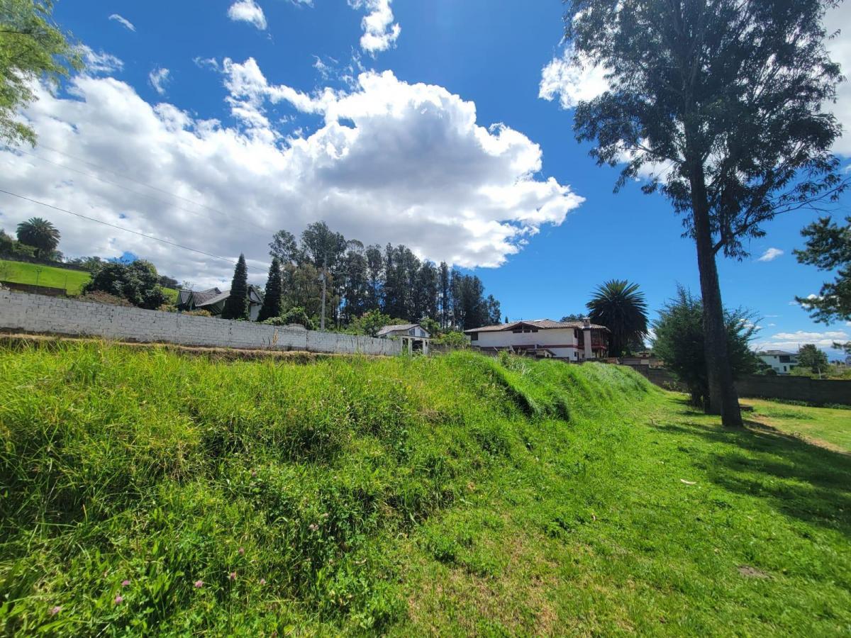 Terreno en Venta Miranda Alto — imagen 5