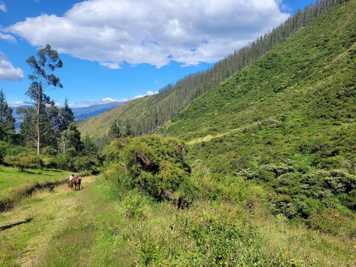 Terreno de 16000 m² en Venta en Tumbaco — imagen 10