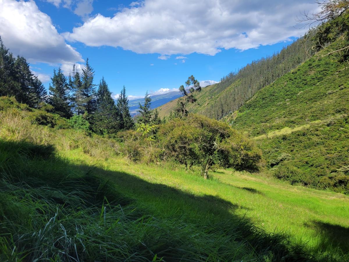 Terreno de 16000 m² en Venta en Tumbaco — imagen 9