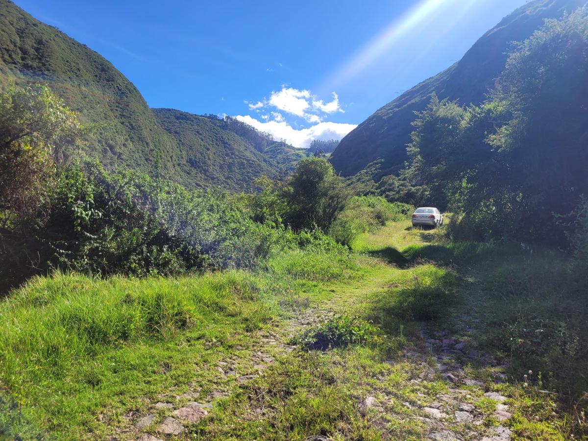 Terreno de 16000 m² en Venta en Tumbaco — imagen 8