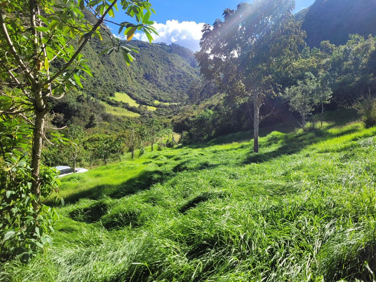 Terreno de 16000 m² en Venta en Tumbaco — imagen 7