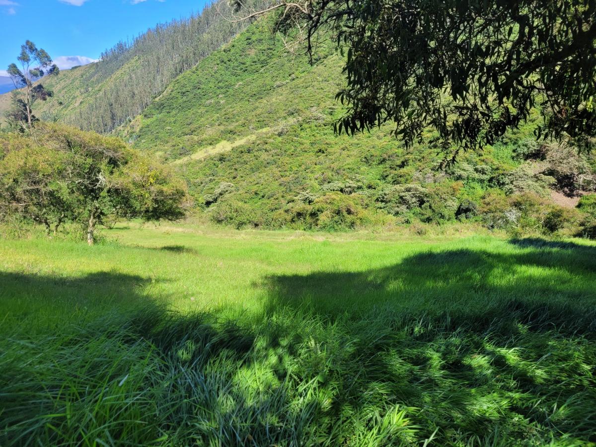 Terreno de 16000 m² en Venta en Tumbaco — imagen 6