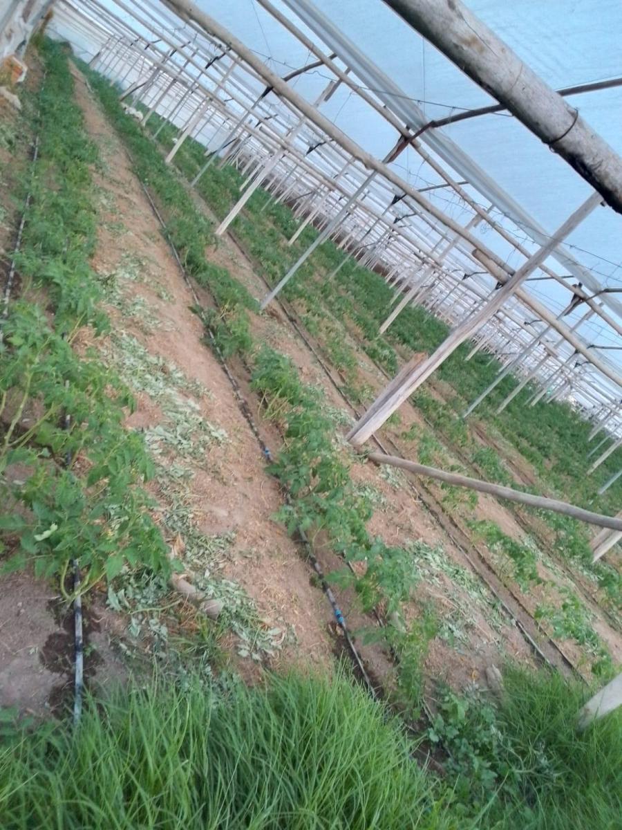 Venta Terreno Yaruki 10.565 m — imagen 9