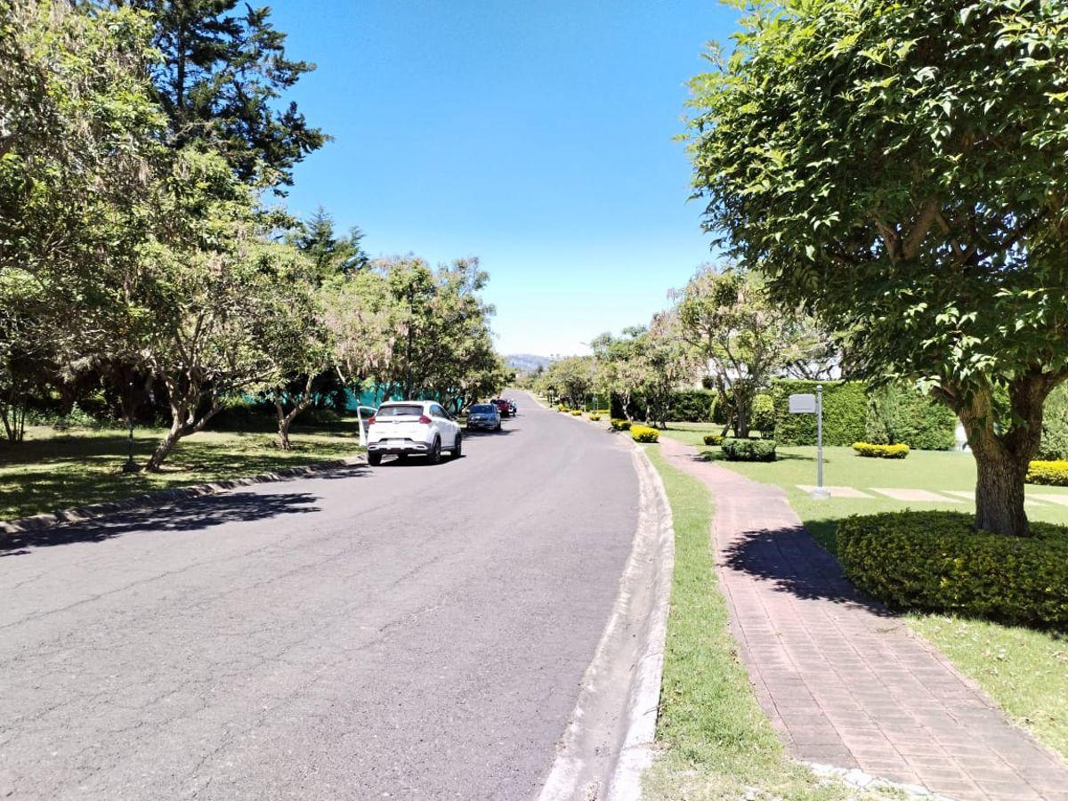 Hermoso Terreno de Venta en Urbanizacion Los Arrayanes — imagen 5