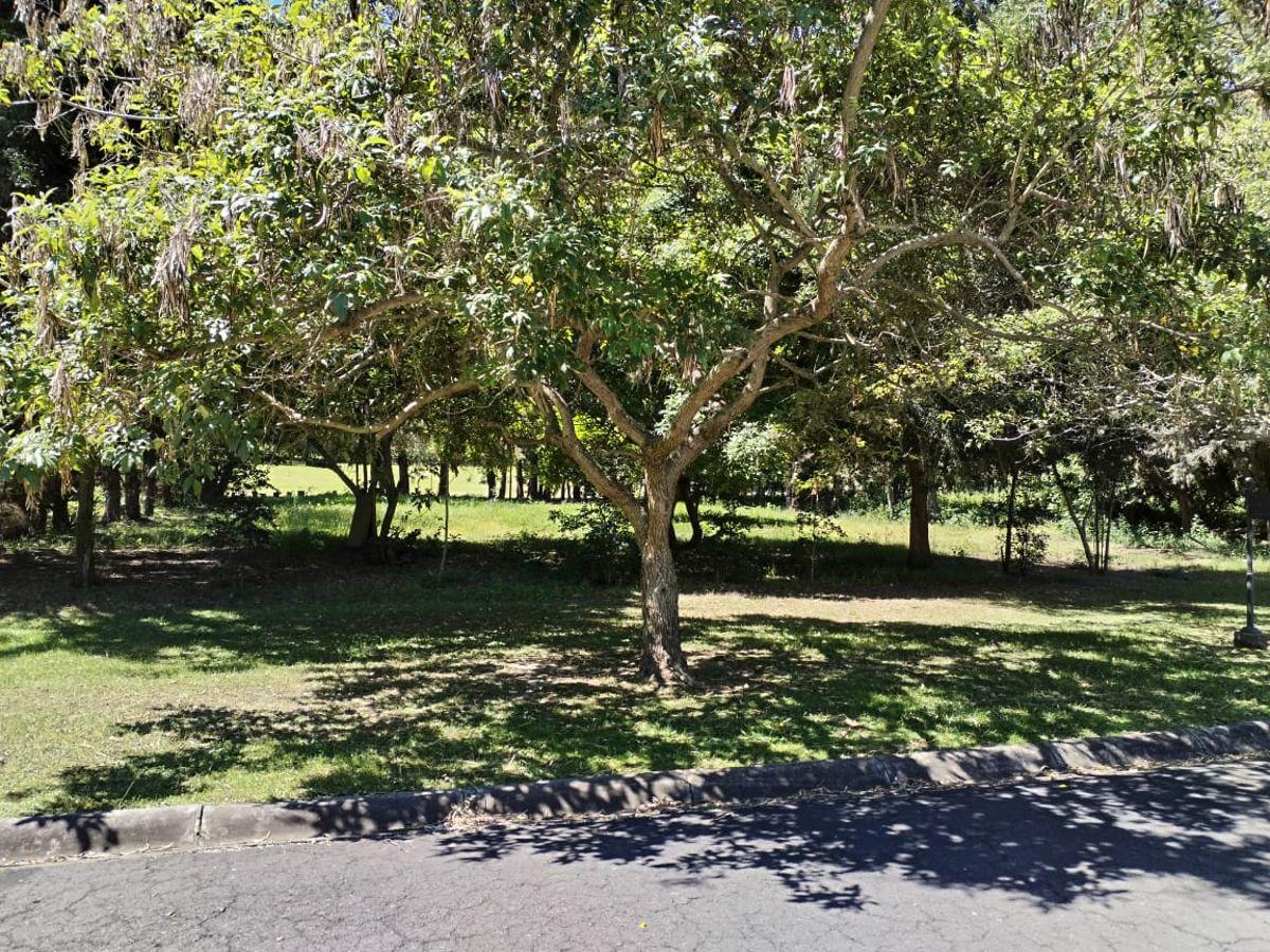 Hermoso Terreno de Venta en Urbanizacion Los Arrayanes — imagen 3