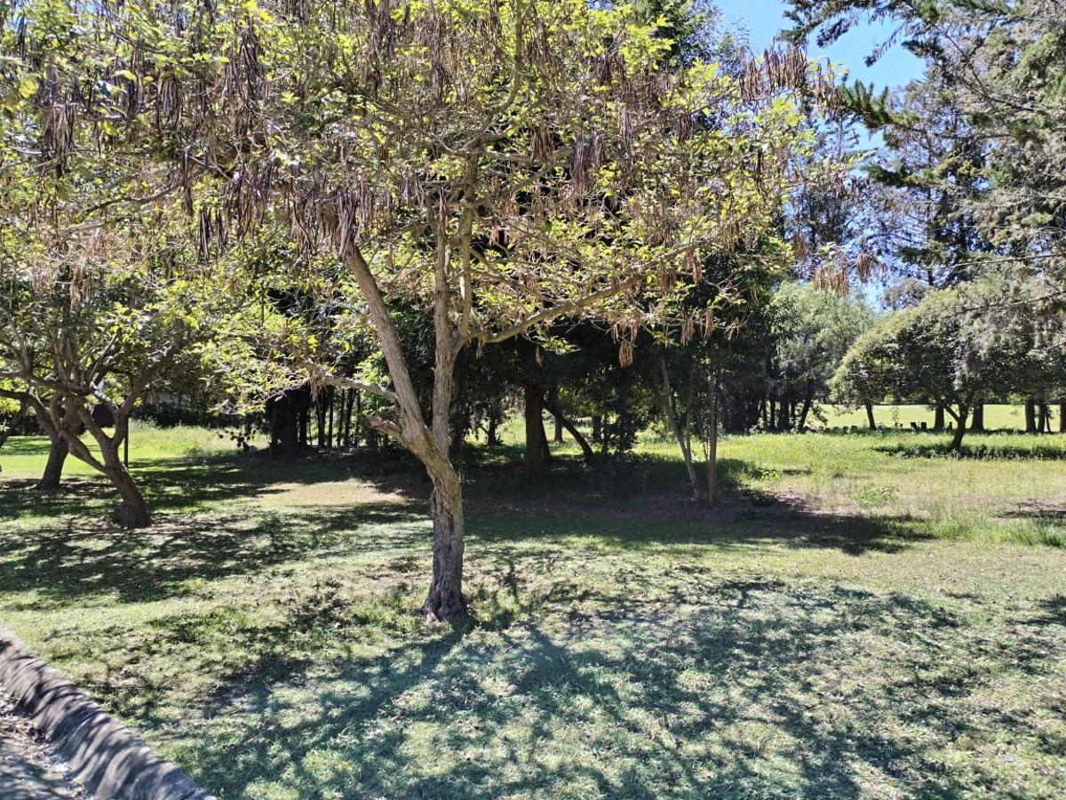 Hermoso Terreno de Venta en Urbanizacion Los Arrayanes — imagen 2