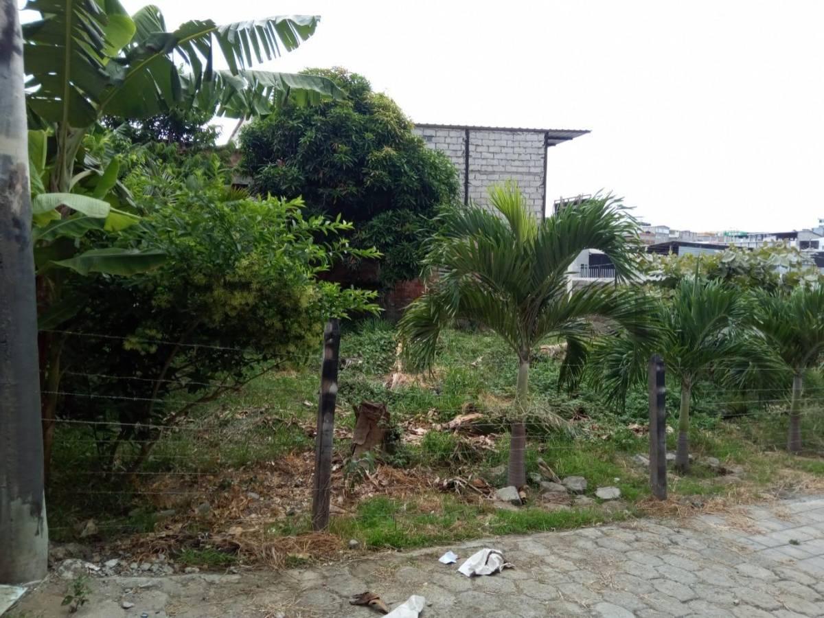 Venta Exclusivo Lote Residencial en Umiña Atras de Hyundai - Manta, Manabí — imagen 7