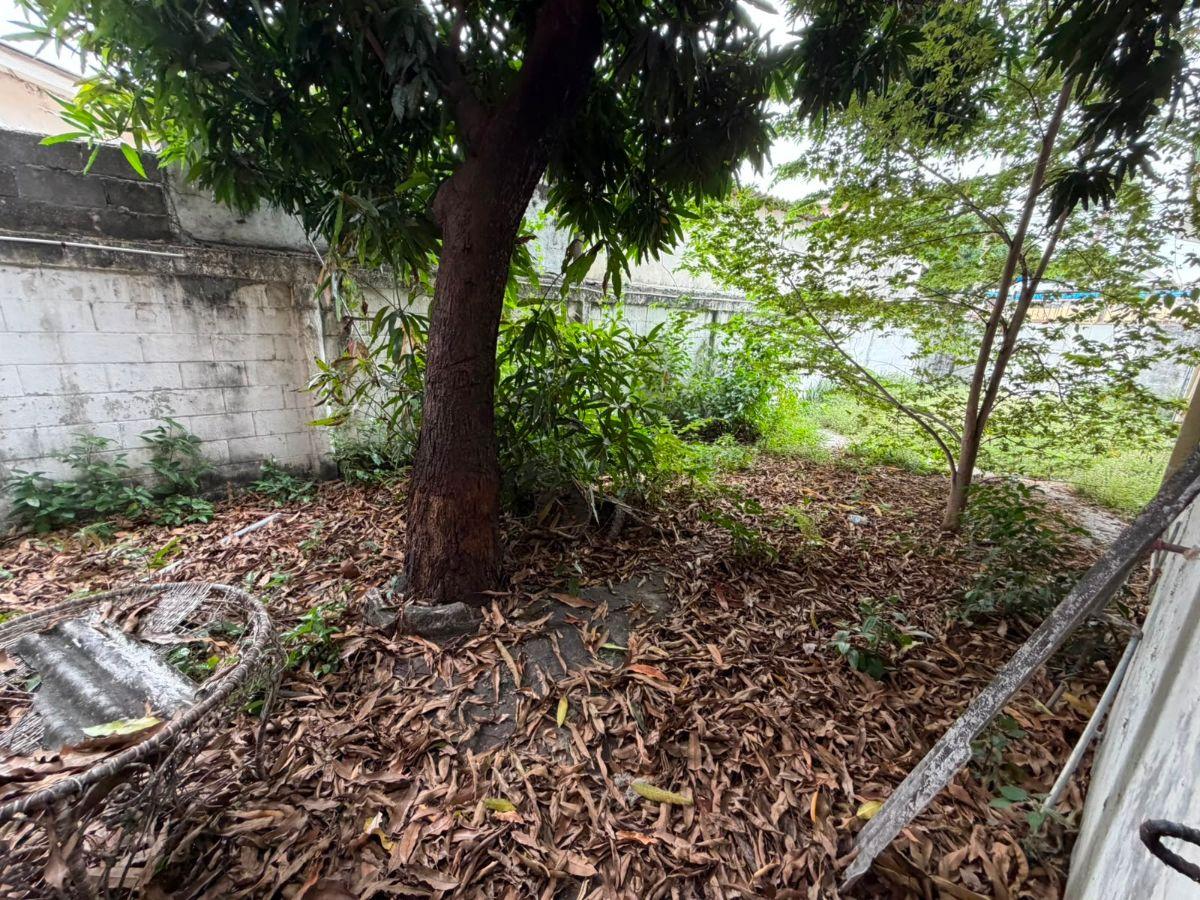 Terreno de 367 m² en Venta en El Norte de Guayaquil, Guayas — imagen 8